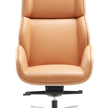 Fotoliu executiv Suoni