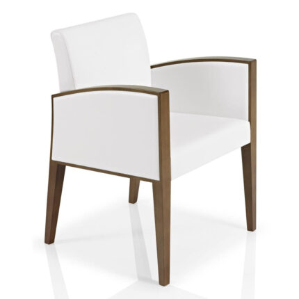 Scaun tip fotoliu Cassis
